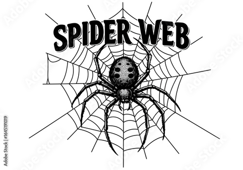 Detailed Spider Illustration on Web, Black and White