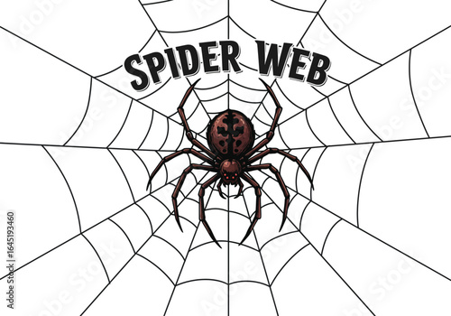 Cartoon Spider on Web with "Spider Web" Text Above