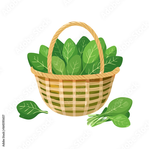 A wicker basket overflowing with fresh, vibrant green spinach leaves.