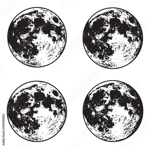 Four detailed black and white vector illustrations of the moon phases with detailed crater surfaces