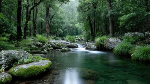 Tranquil Jungle River Scene With Lush Greenery And Flowing Water