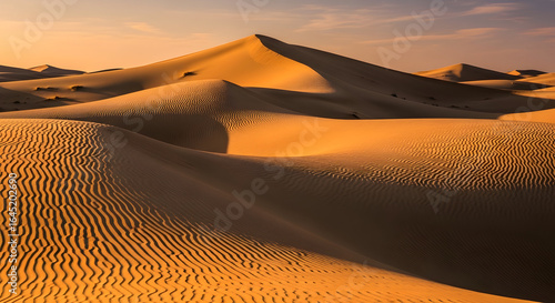 sunset in the desert