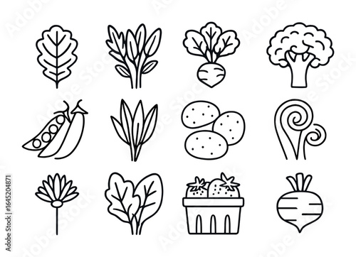 Spring Market Produce. Outline vector icons of spring farmers market produce: kale leaf, fresh herbs, beetroot