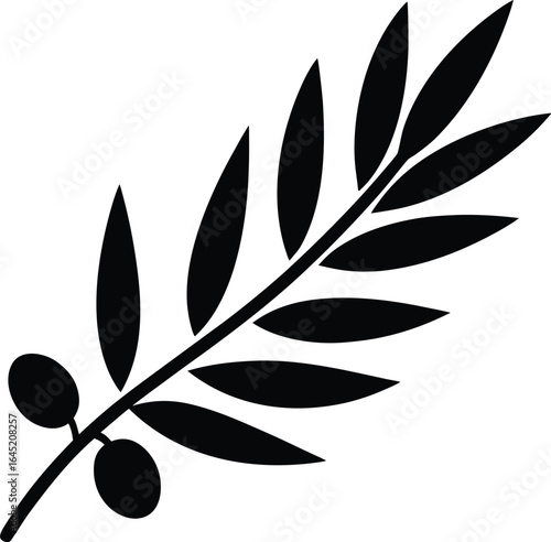 olive branch on the white background.eps