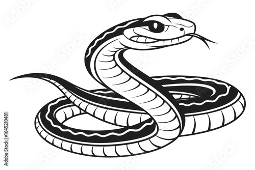 Isolated on white background, a snake is coiled and ready to strike