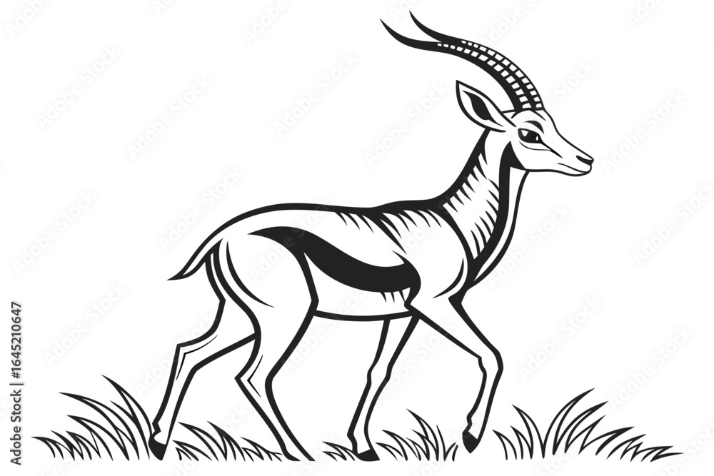 Obraz premium Elegant gazelle standing in the grass isolated on white background