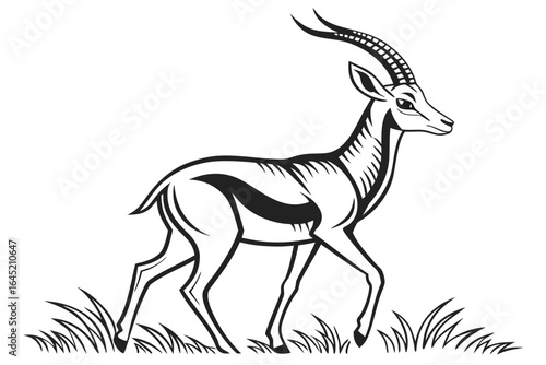 Elegant gazelle standing in the grass isolated on white background