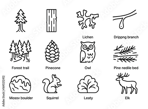 Temperate Forest Icon Set. Outline icon set of temperate rainforests: redwood tree, thick bark, lichen,