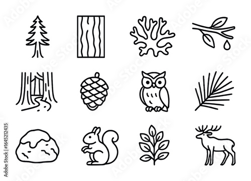 Temperate Forest Icon Set. Outline icon set of temperate rainforests: redwood tree, thick bark, lichen,