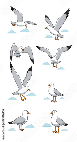 A collection of various poses and actions of seagulls in flight and standing still on ice