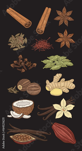 Aromatic spice collection featuring cinnamon star anise cardamom cloves nutmeg vanilla ginger coconut and cocoa