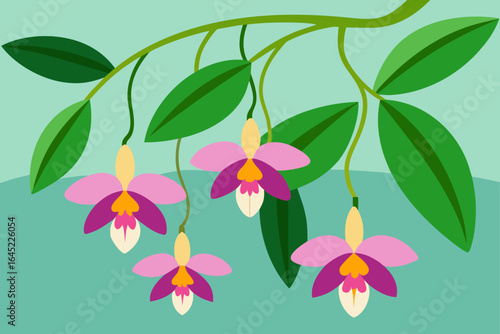 Wild Tropical Orchids Hanging from Tree Branches