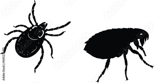 Detailed Tick and Flea Silhouettes Vector, Parasitic Insects Illustration, Black Outline of Tiny Blood-Sucking Arthropods, Pest Control and Biology Concepts