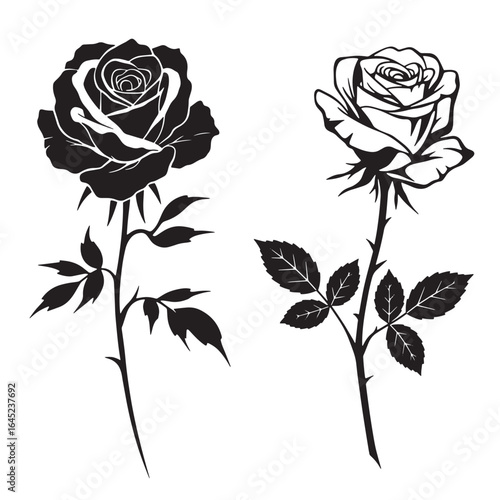 Elegant black and white vector illustrations featuring two detailed rose flower designs