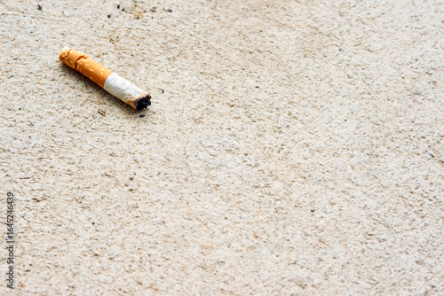 Bilde på lerret Cigarette butt on the ground. Selective focus on cigarette