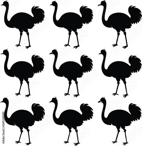 Ostrich Silhouettes Pattern: Black & White Vector Graphic of African Birds, Wildlife Illustration