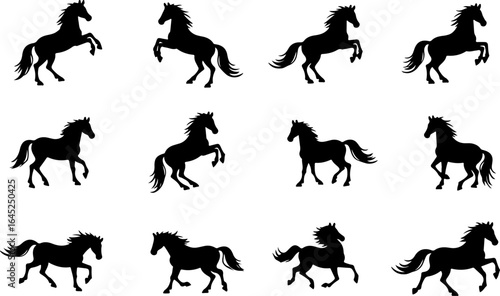 Horse Silhouette Collection Running and Walking" Vector Bundle