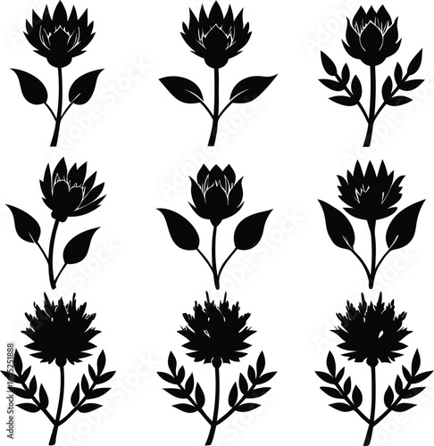 Black & White Flower Silhouettes: Botanical Vector Art, Floral Design Elements, Nature Graphics