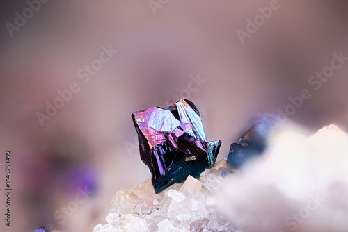 Billede på lærred Iridescent chalcopyrite