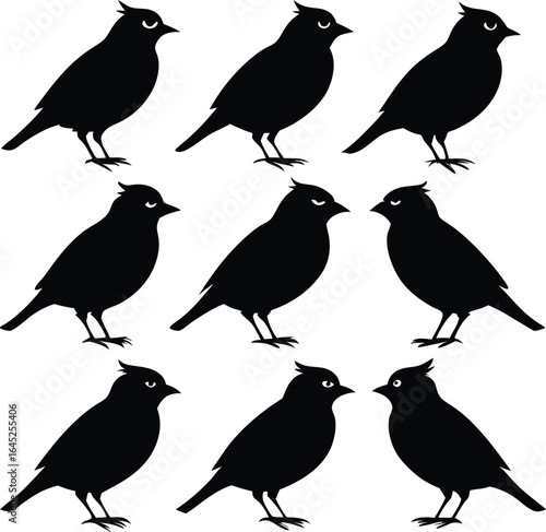 Nine Black Birds Silhouettes Illustration Vector Graphic Birdwatching Ornithology Wildlife Art
