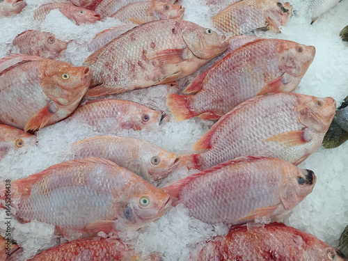 Red tilapia on ice for sale