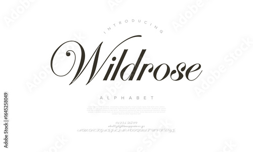 Wildrose Alphabet Elegant Script Typeface