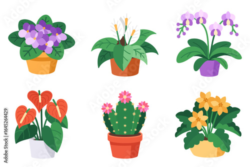 Succulent and cactus icon set, echeveria aloe agave pots, desert houseplant vector, minimalist botanical illustration, modern plant nursery art, sticker and label design