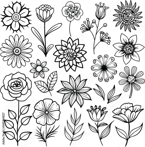 Floral Line Art: Black and White Flower Collection, Botanical Illustration, Vector Graphics