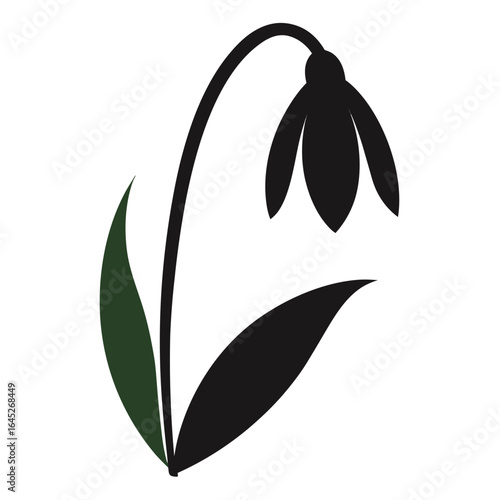 Minimalist black snowdrop flower with green leaves