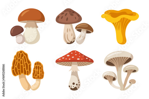 Whimsical toadstool icons, fly agaric cartoon mushroom, forest fairy tale vector, kids book illustration, playful clipart pack
