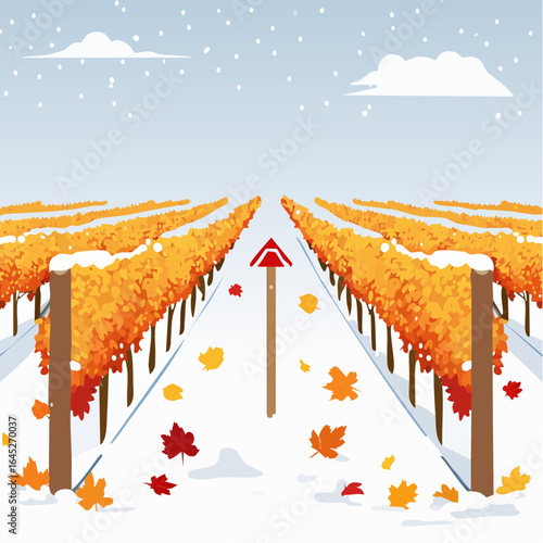 Cartoon simple vineyard background in harvest season
2