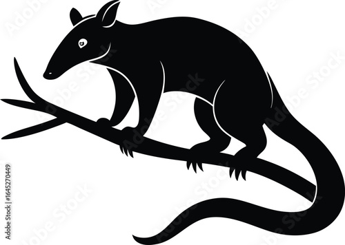 Black Silhouette of a Bandicoot on a Branch Vector Illustration Wildlife Art