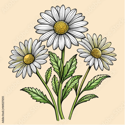 vintage-wildflower-bouquet--black-ink-pen-sketch
