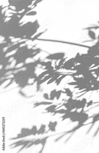 Tree shadow
