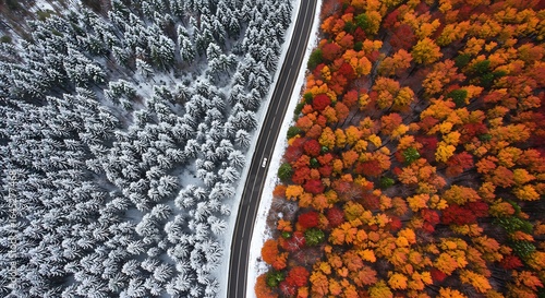A Road Dividing Two Worlds: Vibrant Autumn Forest Meets Snowy Winter Wonderland.