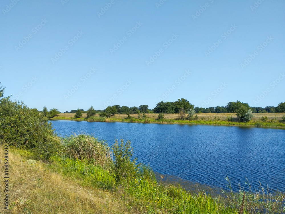 Fototapeta premium The calm blue water of a reservoir lies under a cloudless sky, framed by green thickets and a field. A line of trees is visible on the horizon, creating a natural backdrop for this summer landscape.