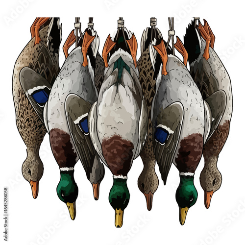dead mallard duck hunting illustration logo vector image t shirt