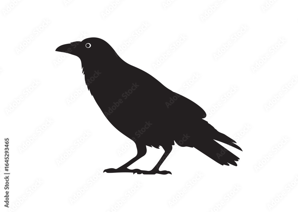 Obraz premium Crow silhouette vector illustration