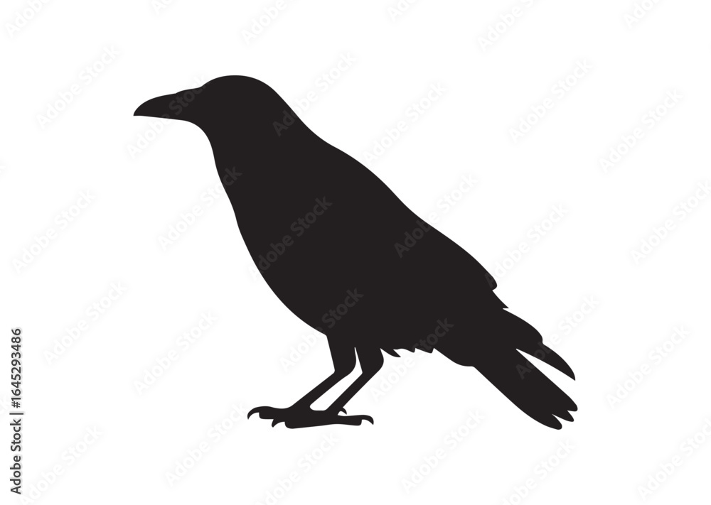 Obraz premium Crow silhouette vector illustration