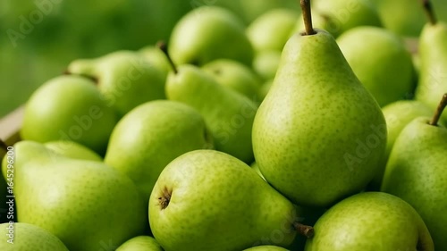 Close-up view of a pile of fresh green pears with natural lighting. The fruits have smooth, slightly speckled skin and are arranged closely, highlighting their freshness and organic quality.