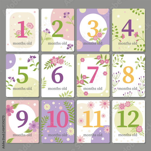 Baby milestone cards 1-12 months with flowers, pastel design for newborn photo props, baby shower gifts, nursery wall art, printable keepsake templates.