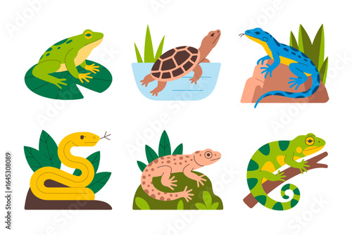 Reptile and dinosaur variety icons, turtle frog lizard stegosaurus mix, biodiversity vector illustration, nature study graphic