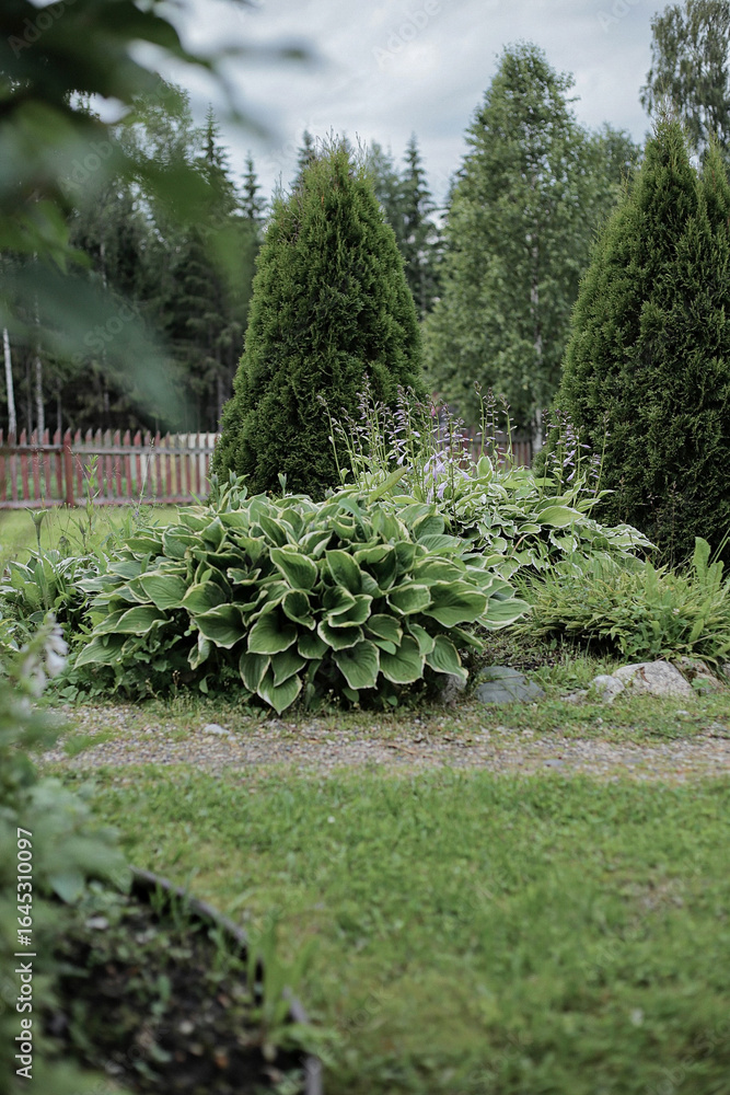 Obraz premium moss covered stone