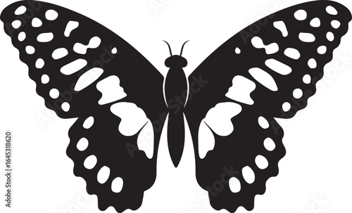 Butterfly with patterned wings, Black and white insect vector art