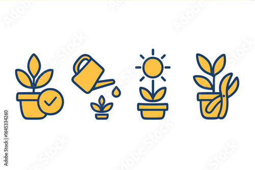 How to care for indoor plants in simple steps and illustrations