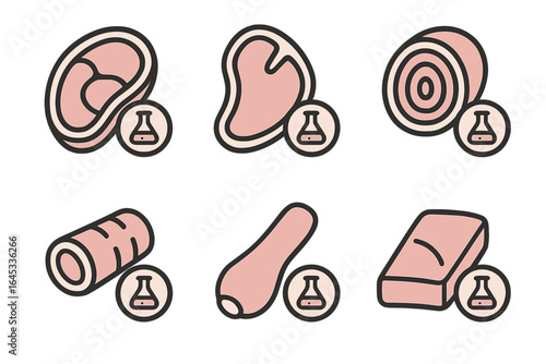 Different types of meat cuts illustrated with labels showcasing their characteristics and uses in cooking