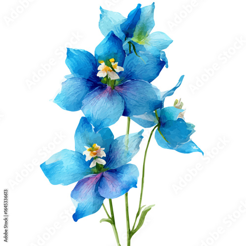 My Watercolor hand-painted delphinium flower painting illustration isolated on a white background, vector illustration, AI painting design, EPS format design. vector illustration