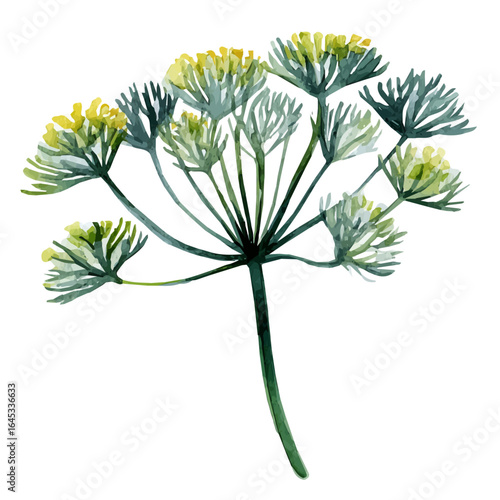 My Watercolor painting, dill herb collection illustration isolated on a white background, illustration, AI painting design, vector illustration set, eps format