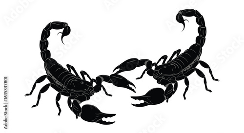 Two black scorpions illustration vector art arachnid design