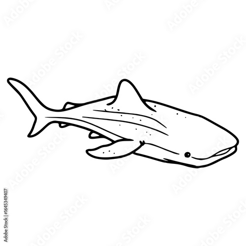 whale shark outline cartoon drawing